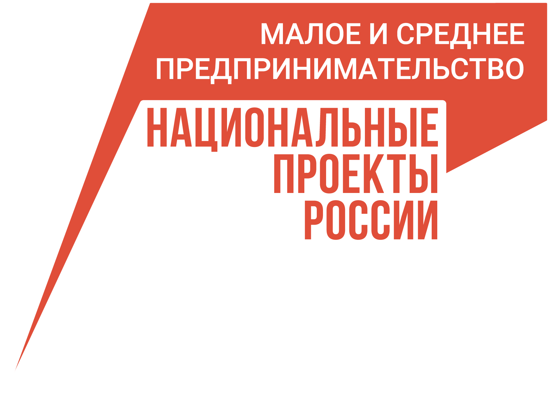 Разработчик брянской франшизы, благодаря нацпроекту, вышел на международный уровень