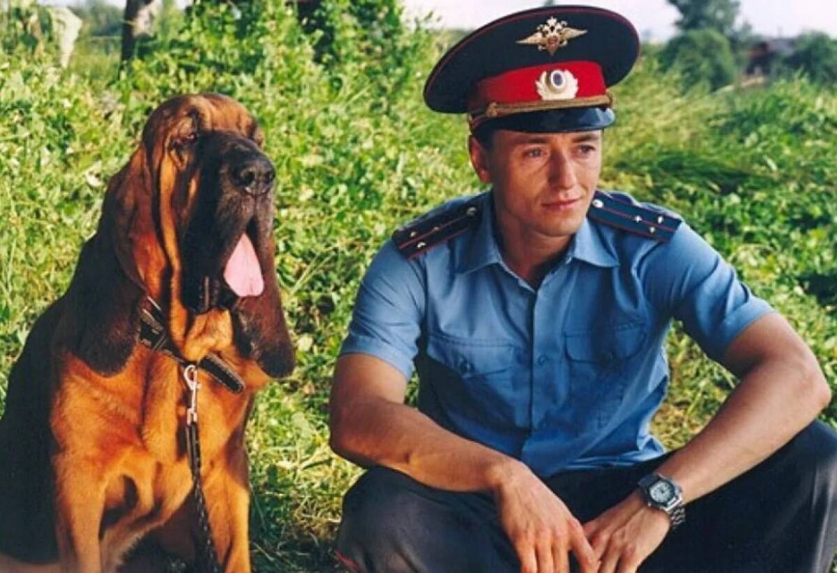 Брянцев просят проголосовать за  «Народного участкового» (6+)