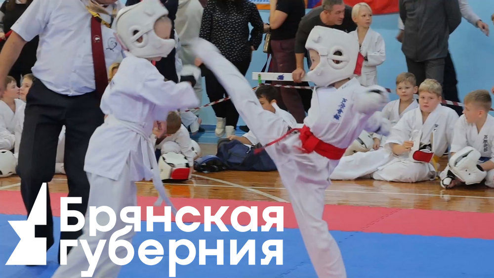 Областной турнир по всестилевому карате прошел в Клинцах