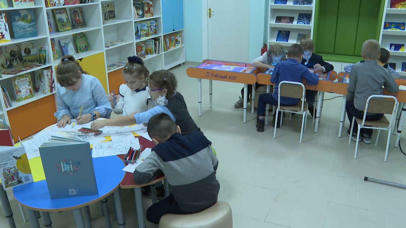 На две модельные библиотеки в Брянске станет больше