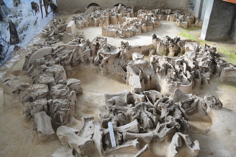 Кости мамонта из Юдинова и макет партизанской землянки (0+)