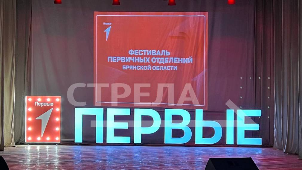 В Брянске проходит фестиваль первичных отделений «Движения первых» (6+)