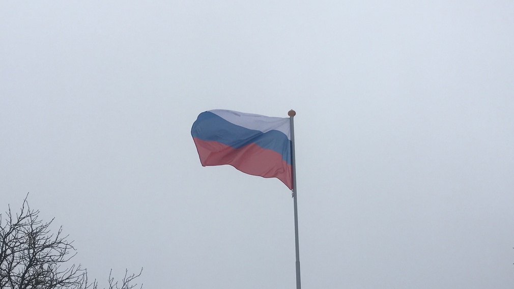 С Днем народного единства брянцев поздравил председатель «Конгресса Азербайджанцев»