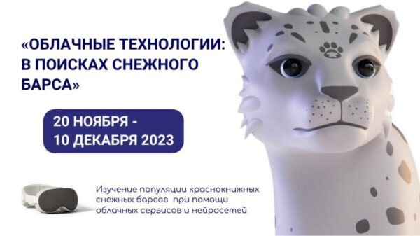 Облака и компьютерное зрение: дети научатся искать снежных барсов на «Уроке цифры» от Яндекса