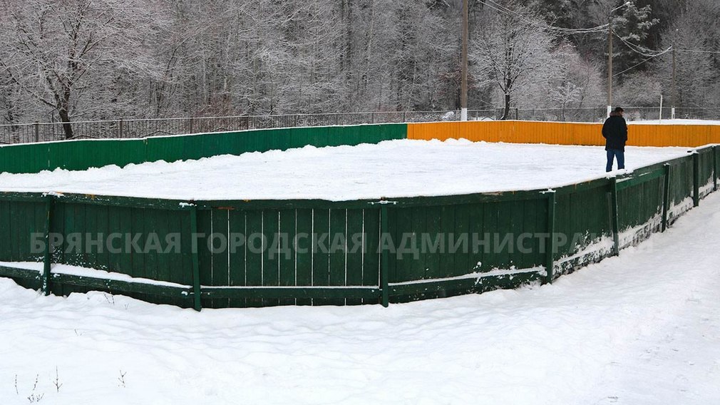В Брянске откроют почти сто зимних спортивных объектов