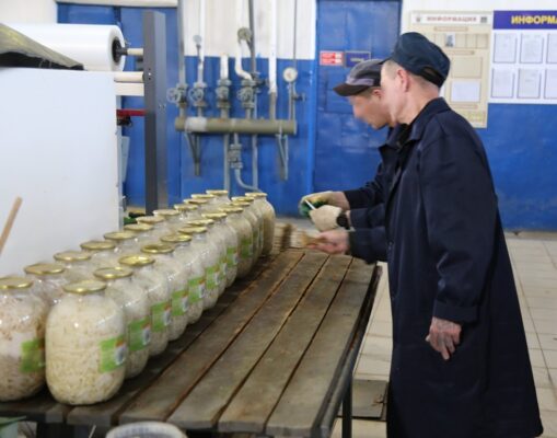 В КП-3 выпущено консервированной продукции почти на 27 миллионов рублей