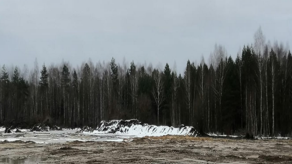 Несанкционированные свалки ликвидируют на Брянщине в рамках нацпроекта