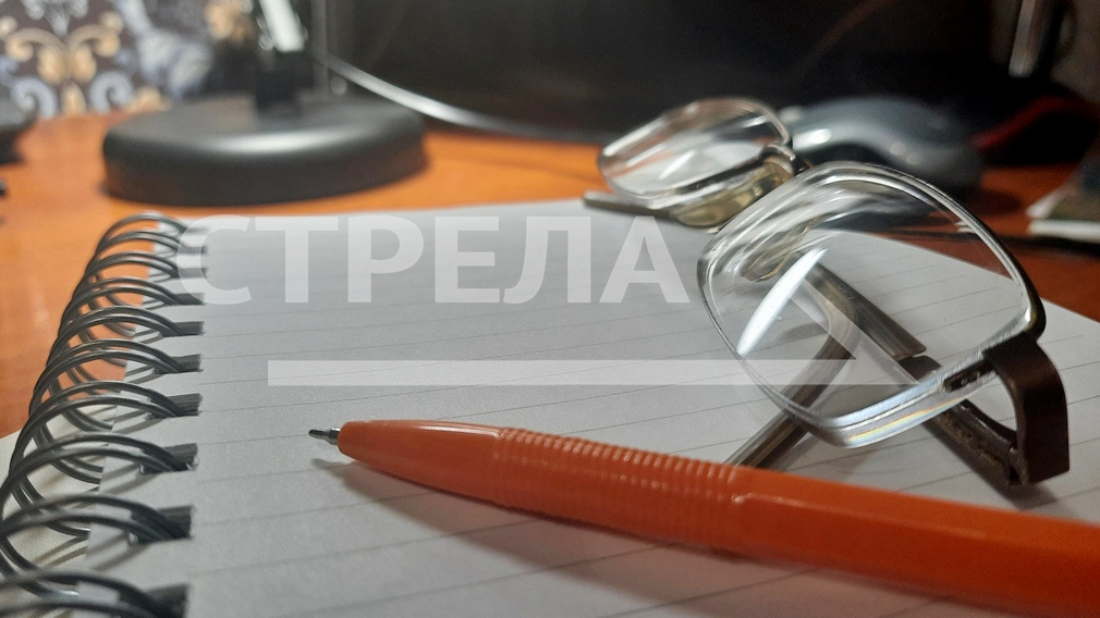 В 2024 году Брянская область планирует увеличить производство продукции животноводства