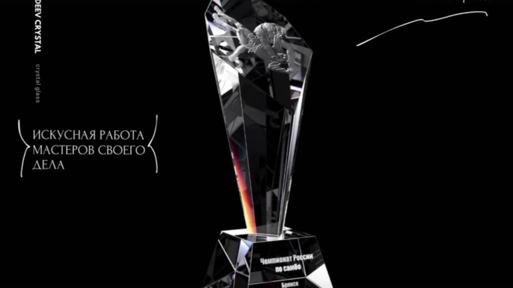 Стало известно расписание чемпионата России по самбо в Брянске (6+)