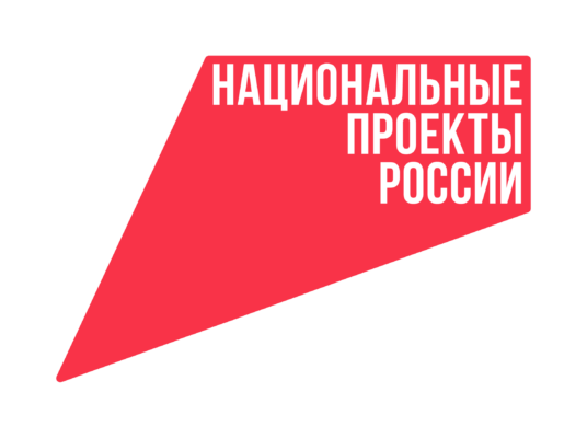 Как нацпроекты изменили жизнь россиян