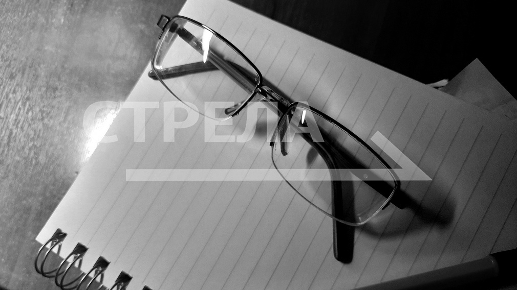 Федеральный проект «Содействие занятости» успешно реализуют на Брянщине