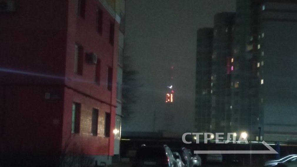 К памятной акции «Журавли» присоединилась Брянская область