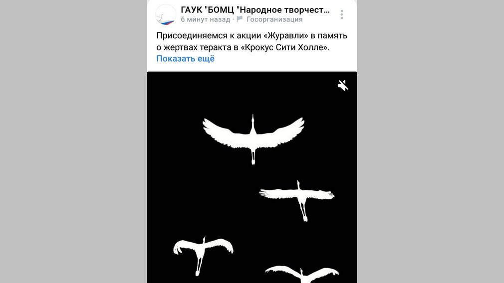 К акции «Журавли» присоединились брянские учреждения культуры (6+)