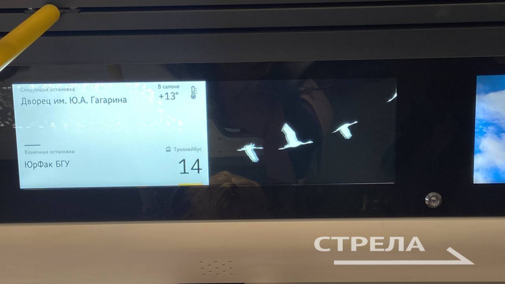 Инсталляция «Журавли» появилась в брянских троллейбусах