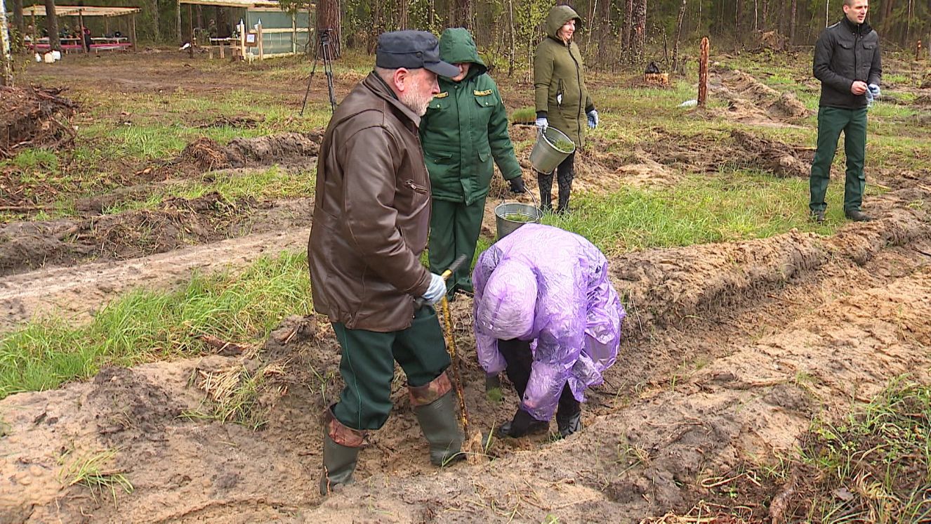 На Брянщине проходит международная акция «Сад памяти»