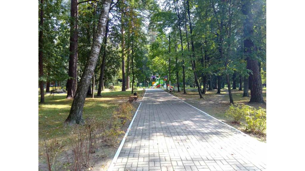 На Брянщине определили объекты для благоустройства в 2025 году