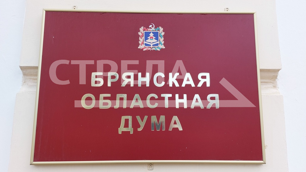 Николай Якушенко и Владимир Пронин избраны заместителями председателя Брянской областной Думы восьмого созыва