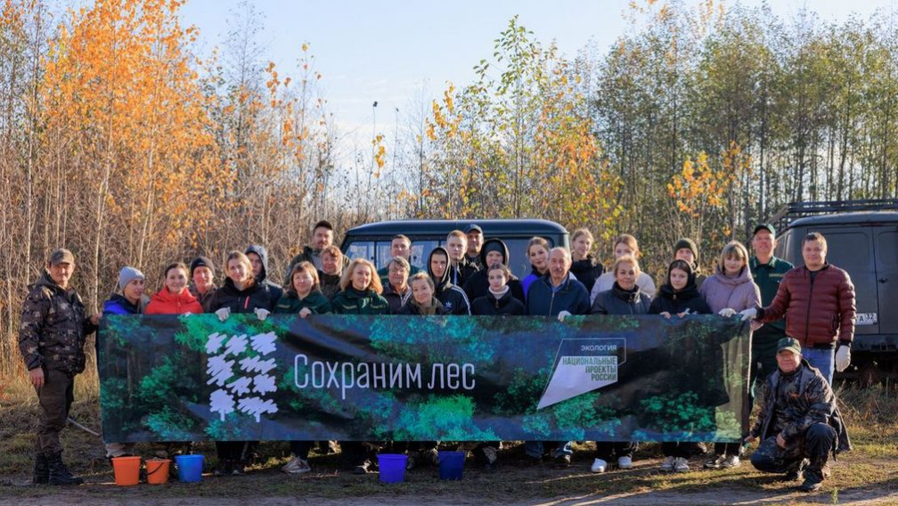 Всероссийская акция «Сохраним лес» проходит на Брянщине