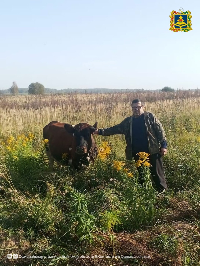 На средства соцконтракта житель Жуковского района купил корову