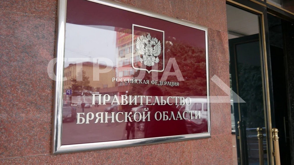 Меры поддержки многодетных семей успешно реализуются на Брянщине