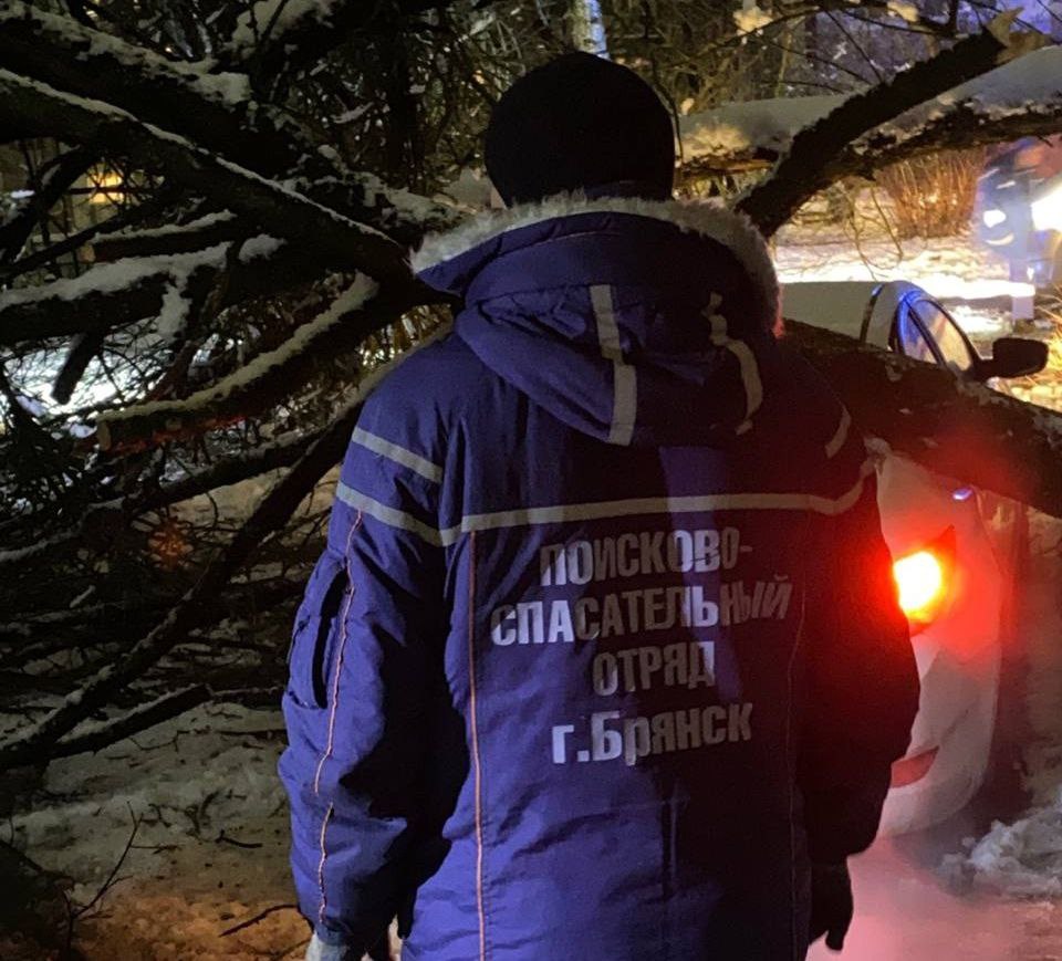 С последствиями непогоды борются брянские аварийные бригады