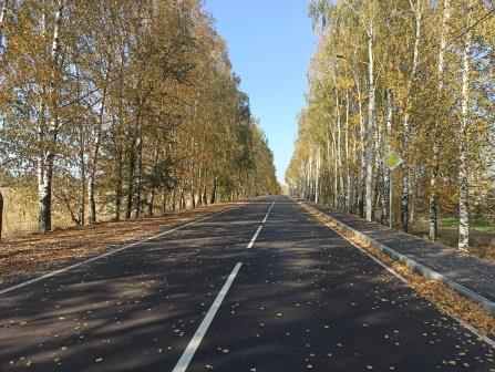 Благодаря дорожному нацпроекту обновляют дороги в Брянской городской агломерации