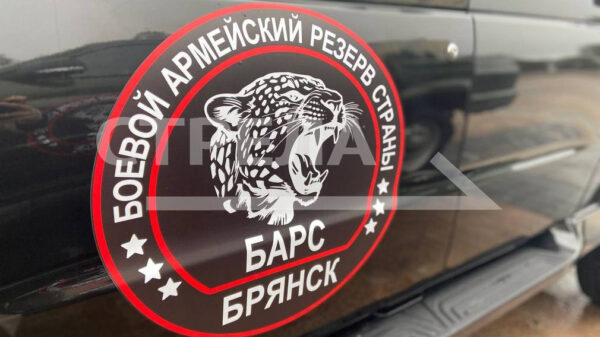 Добровольцы отряда «БАРС-Брянск» продолжают отвечать на вопросы кандидатов