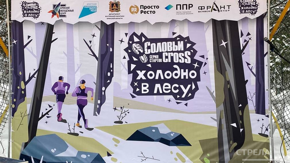 В Брянске прошел зимний забег «Соловьи Cross – Холодно в лесу»