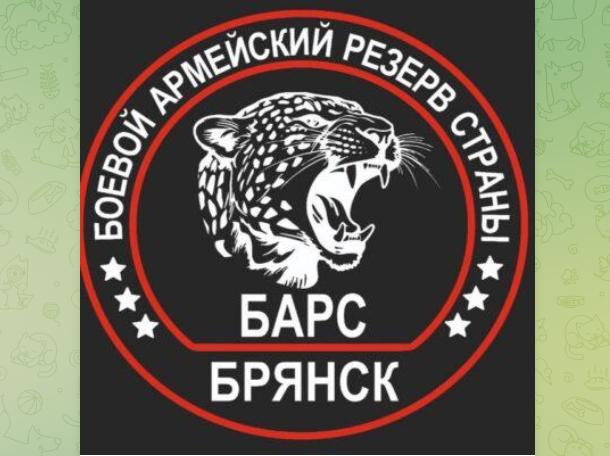 Добровольцам БАРС – Брянск добавили новые финансовые возможности