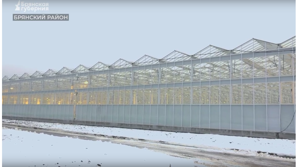 Новые теплицы запустят в брянском селе Журиничи