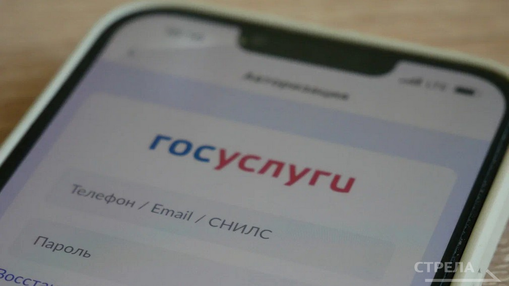 Решать бытовые вопросы брянцам помогает приложение «Госуслуги.Дом»