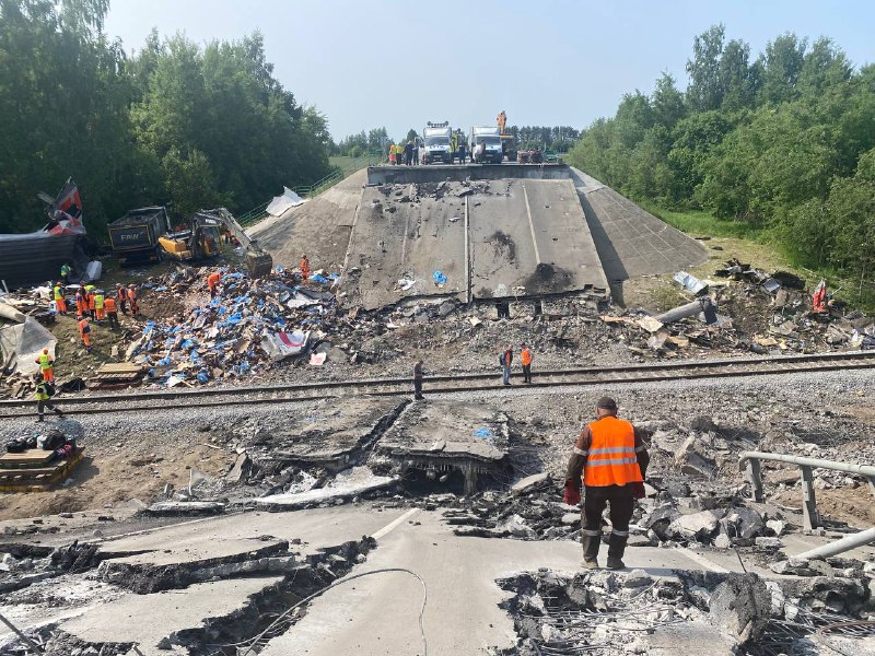 Движение поездов после происшествия в Выгоничском районе восстановлено