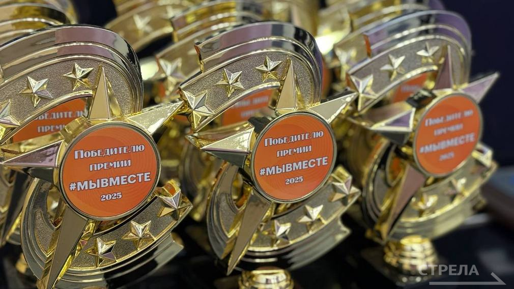 В Брянске наградили победителей регионального этапа премии «Мы вместе»