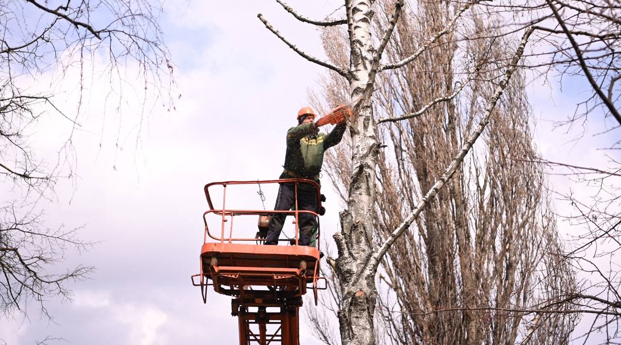 Жители поселка Май Стародубского округа благодарят ООО «Меленский картофель» за благие дела