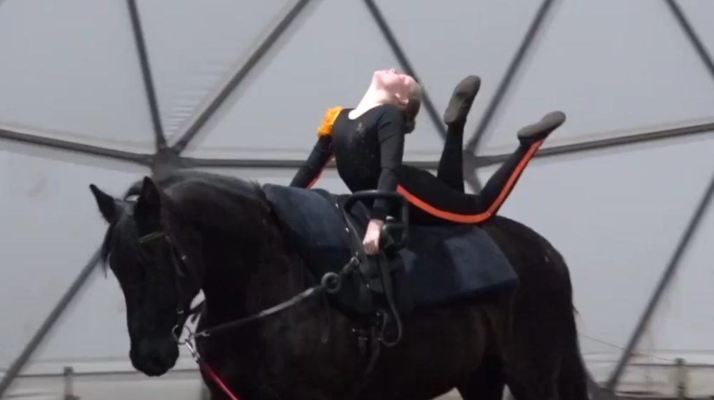 В Брянске прошли первые соревнования по вольтижировке для юных спортсменов