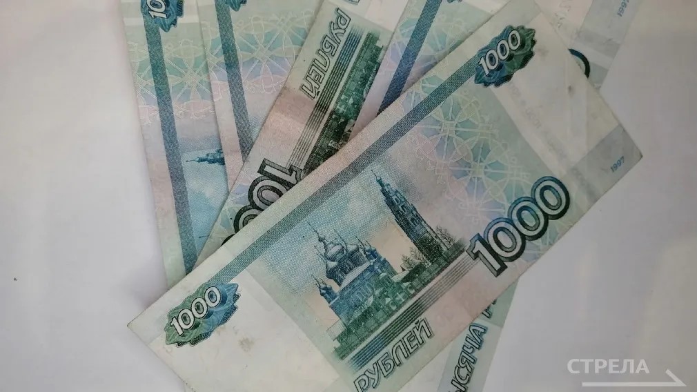 О возможностях нацпроекта «Эффективная и конкурентная экономика» рассказали жителям Брянщины