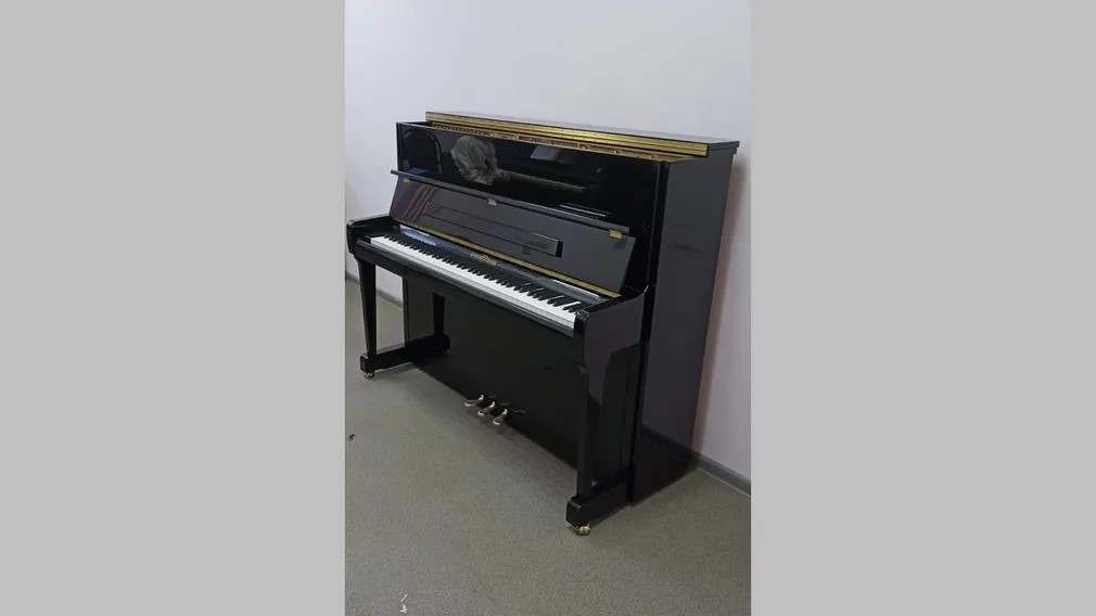 Новые музыкальные инструменты пополнили Клинцовскую школу искусств