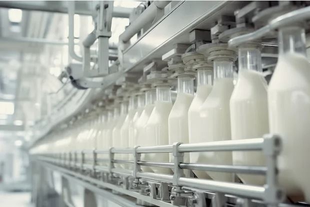 Аграрный сектор Брянской области продолжает развиваться