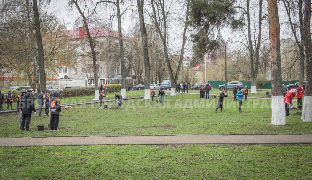 В сквере Памяти трагедии в Чернобыле посадили 15 клёнов