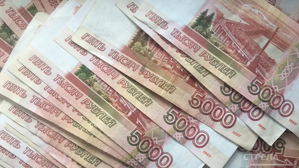 В Брянской области для семей с детьми предусмотрен областной материнский капитал