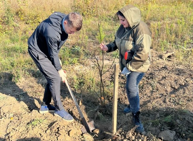 В Севске посадили 80 лип в честь 880‑летия города!