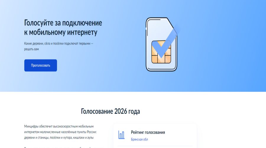 Жители Брянской области могут проголосовать в проекте по устранению цифрового неравенства (12+)