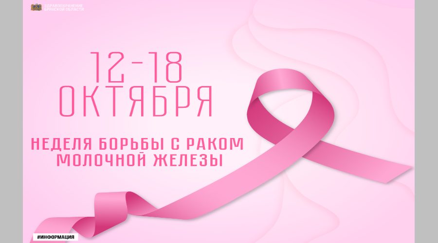 Росгвардейцы провели для школьников урок по безопасности дорожного движения в Брянске